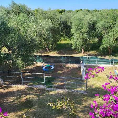 فيستَ Residence Dolce Far Niente المظهر الخارجي الصورة