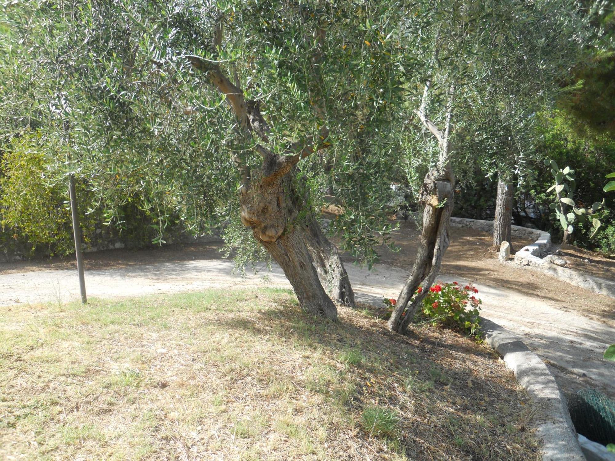 فيستَ Residence Dolce Far Niente المظهر الخارجي الصورة
