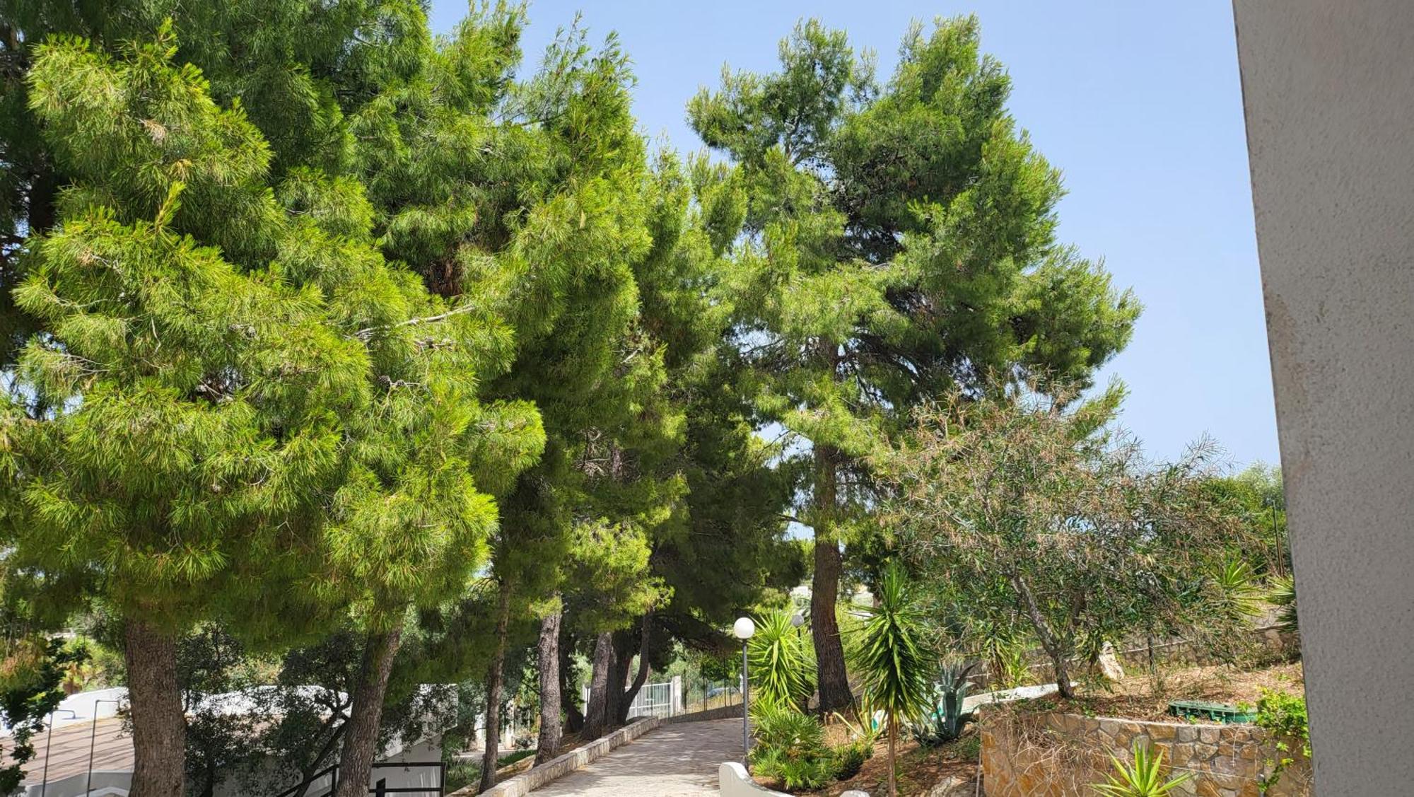 فيستَ Residence Dolce Far Niente المظهر الخارجي الصورة
